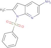 1-(Benzenesulfonyl)-2-methyl-1H-pyrrolo[2,3-b]pyridin-5-amine