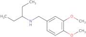 [(3,4-Dimethoxyphenyl)methyl](pentan-3-yl)amine