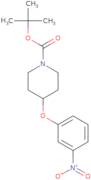 tert-Butyl 4-(3-nitrophenoxy)piperidine-1-carboxylate