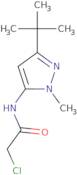 N-[(3E)-5-tert-Butyl-2-methyl-2,3-dihydro-1H-pyrazol-3-ylidene]-2-chloroacetamide