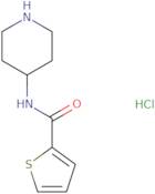 Thiophene-2-carboxylic acid piperidin-4-ylamide hydrochloride