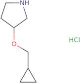 3-(Cyclopropylmethoxy)pyrrolidine hydrochloride