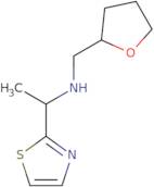 (Oxolan-2-ylmethyl)[1-(1,3-thiazol-2-yl)ethyl]amine