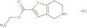 Ethyl 4,5,6,7-tetrahydrothieno[3,2-c]pyridine-2-carboxylate hydrochloride