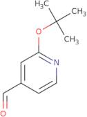 2-tert-Butoxy-pyridine-4-carbaldehyde