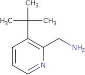 (3-tert-Butylpyridin-2-yl)methanamine