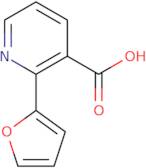 2-(Furan-2-yl)pyridine-3-carboxylic acid