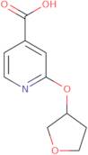 2-(Oxolan-3-yloxy)pyridine-4-carboxylic acid