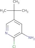 5-tert-Butyl-2-chloropyridin-3-amine