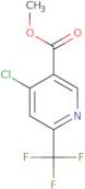 Methyl 4-chloro-6-(trifluoromethyl)nicotinate