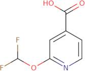 2-(Difluoromethoxy)isonicotinic acid