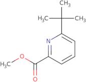 Methyl 6-(tert-butyl)picolinate