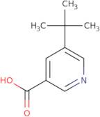 5-tert-Butylpyridine-3-carboxylic acid