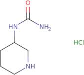 (Piperidin-3-yl)urea hydrochloride