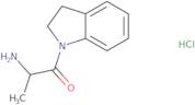 2-Amino-1-(2,3-dihydro-1H-indol-1-yl)-1-propanone hydrochloride