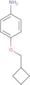 4-(Cyclobutylmethoxy)aniline