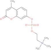 4-Methylumbelliferyl cholin phosphate
