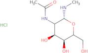 2-Acetamido-2-deoxy-b-D-glucopyranosyl methylamine HCl