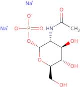 N-Acetyl-a-D-glucosamine-1-phosphate disodium salt