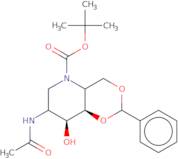 2-Acetamido-4,6-O-benzylidene-N-Boc-1,2,5-trideoxy-1,5-imino-D-glucitol