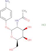 4-Aminophenyl 2-acetamido-2-deoxy-a-D-galactopyranoside HCl