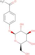 4-Acetylphenyl-β-D-glucopyranoside