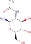 2-Acetamido-2-deoxy-b-D-glucopyranosyl amine