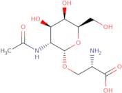 2-Acetamido-2-deoxy-a-D-galactopyranosyl serine