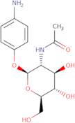 4-Aminophenyl 2-acetamido-2-deoxy-b-D-glucopyranoside