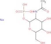 ...N-Acetyl-α-D-galactosamine-1-phosphate disodium