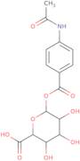 Acedoben-acyl-b-D-glucuronide