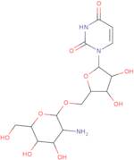 5'-O-(2-Amino-2-deoxy-b-D-glucopyranosyl)-uridine