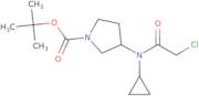 N-[2-(Morpholin-4-yl)ethyl]cyclopentanamine