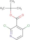 tert-Butyl 2,4-dichloropyridine-3-carboxylate