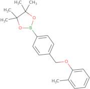 4,4,5,5-Tetramethyl-2-{4-[(2-methylphenoxy)methyl]phenyl}-1,3,2-dioxaborolane