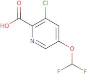 3-chloro-5-(difluoromethoxy)pyridine-2-carboxylic acid