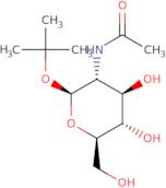 tert-Butyl 2-acetamido-2-deoxy-b-D-glucopyranoside