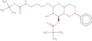 (3-N-Boc-aminopropyl) 4,6-O-benzylidene-3-O-pivaloyl-b-D-galactopyranoside