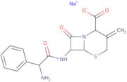 [6R-[6α,7β(R*)]]-7-[(Aminophenylacetyl)amino]-3-methylene-8-oxo-5-thia-1-azabicyclo[4.2.0]octane-2-carboxylic acid sodium salt