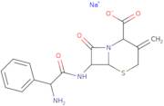 [6R-[6α,7β(R*)]]-7-[(Aminophenylacetyl)amino]-3-methylene-8-oxo-5-thia-1-azabicyclo[4.2.0]octane...