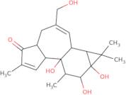 4-Deoxy-4α-phorbol