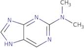 2-(dimethylamino)purine