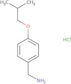 (4-Isobutoxyphenyl)methanamine hydrochloride