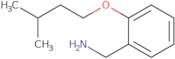 [2-(3-Methylbutoxy)phenyl]methanamine