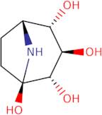 Calystegine B2