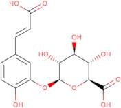 Caffeic acid 3-O-b-D-glucuronide