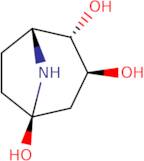 Calystegine A5