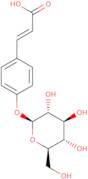 Coumaric acid 4-O-glucoside