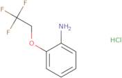 2-(2,2,2-Trifluoroethoxy)aniline hydrochloride
