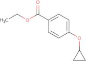 4-Cyclopropyloxybenzoic acid ethyl ester